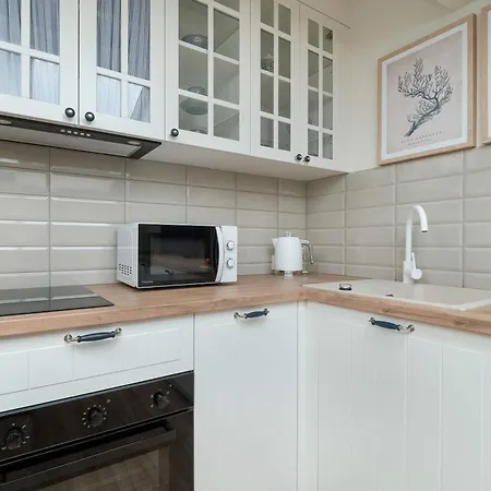 Cozy With Air Conditioning Near Plac Wolnosci By Renters Apartment Lodz (Lodz)