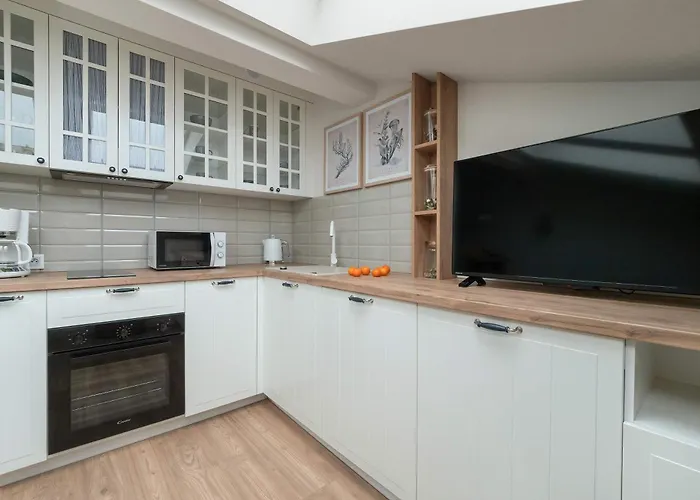 Cozy With Air Conditioning Near Plac Wolnosci By Renters